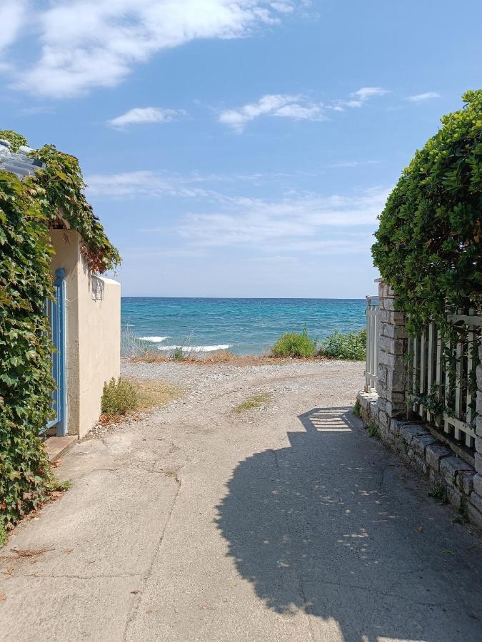 Niki Apartments Sea View Attic Platamonas Exterior photo