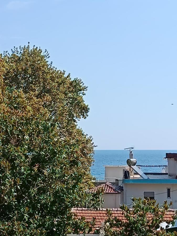 Niki Apartments Sea View Attic Platamonas Exterior photo