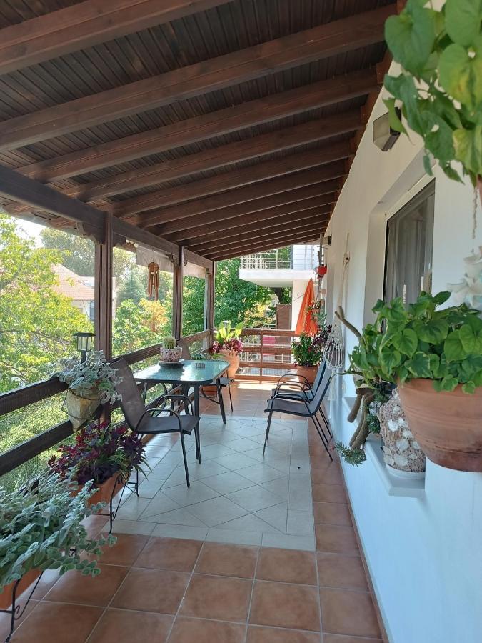 Niki Apartments Sea View Attic Platamonas Exterior photo